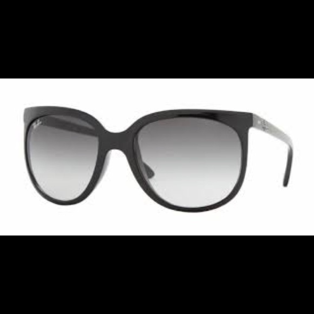 Rayban cats